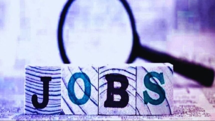 Delhivery, Flipkart announced over 1 lakh job opportunities amid boost in employment market: Report