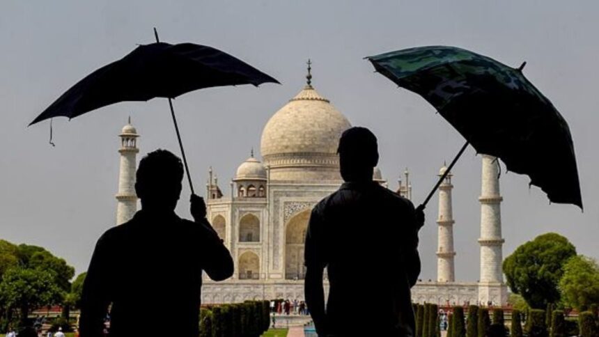 optimism, india, survey,